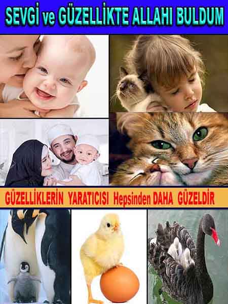 allah var delilleri, allahin varlıgının delilleri, allahin delilleri, allah in varliginin delilleri nelerdir?, allah ın ispatı