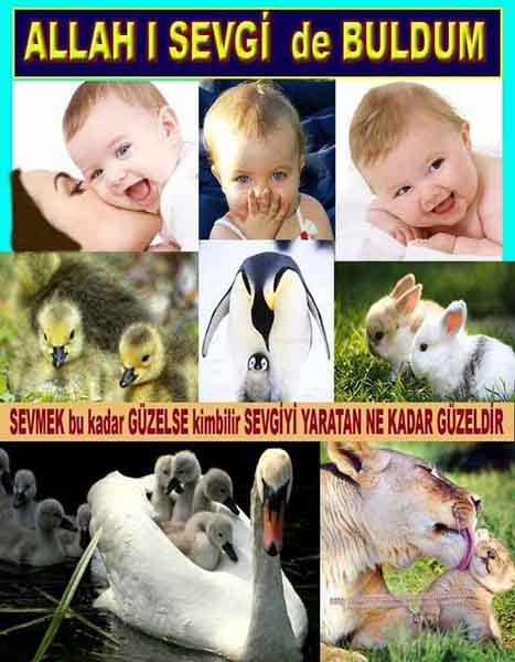 allah var delilleri, allahin varlıgının delilleri, allahin delilleri, allah in varliginin delilleri nelerdir?, allah ın ispatı