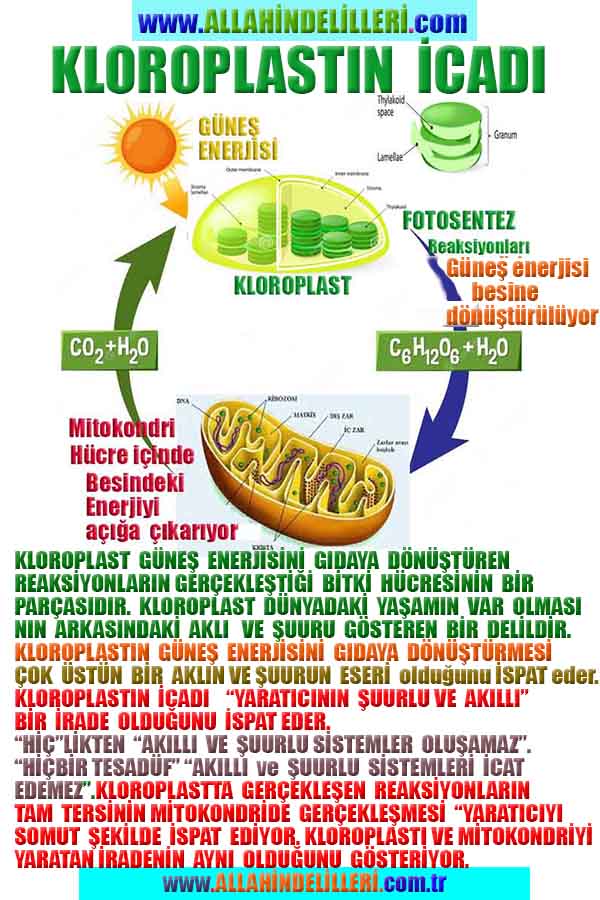 allah var delilleri, allahin varlıgının delilleri, allahin delilleri, allah in varliginin delilleri nelerdir?, allah ın ispatı