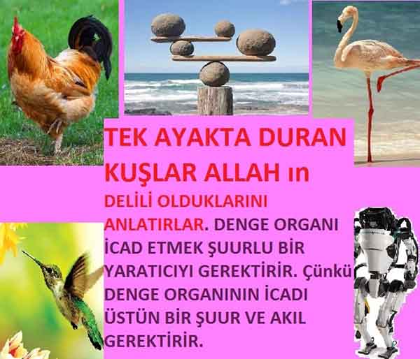 allah var delilleri, allahin varlıgının delilleri, allahin delilleri, allah in varliginin delilleri nelerdir?, allah ın ispatı