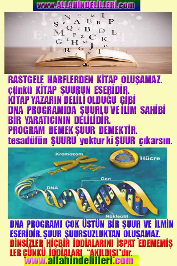 allah var delilleri, allahin varlıgının delilleri, allahin delilleri, allah in varliginin delilleri nelerdir?, allah ın ispatı