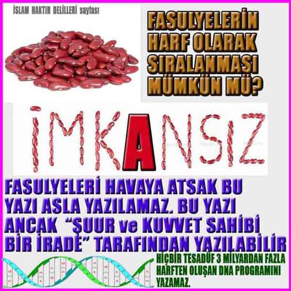 allah var delilleri, allahin varlıgının delilleri, allahin delilleri, allah in varliginin delilleri nelerdir?, allah ın ispatı