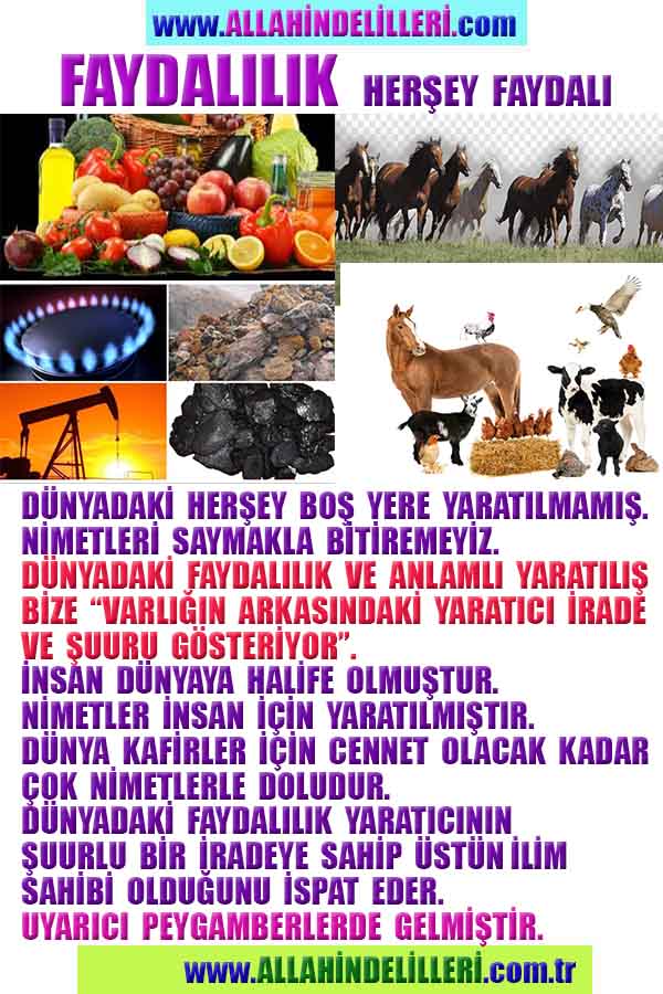 allah var delilleri, allahin varlıgının delilleri, allahin delilleri, allah in varliginin delilleri nelerdir?, allah ın ispatı