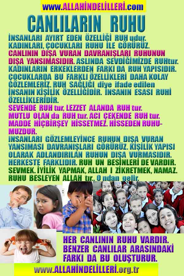 allah var delilleri, allahin varlıgının delilleri, allahin delilleri, allah in varliginin delilleri nelerdir?, allah ın ispatı