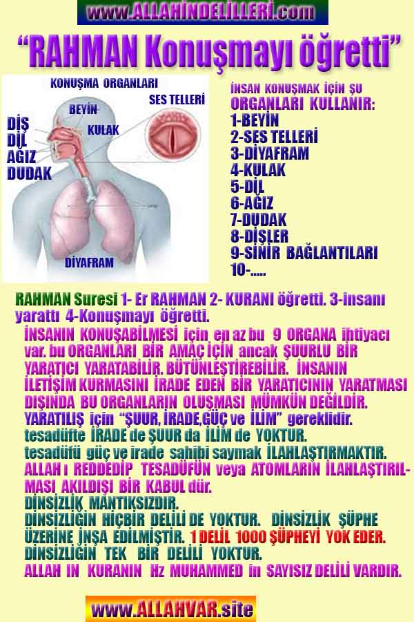 allah var delilleri, allahin varlıgının delilleri, allahin delilleri, allah in varliginin delilleri nelerdir?, allah ın ispatı
